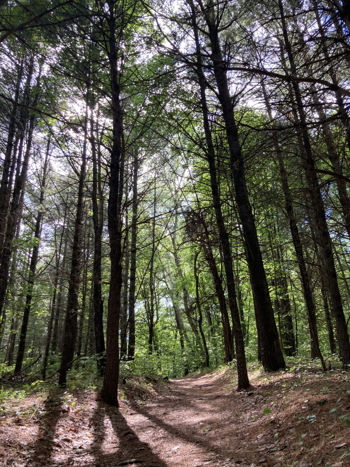 Namekagon River – Wisconsin's Moving National Park